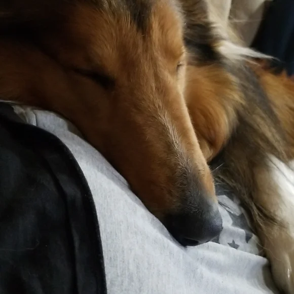 H&M euc / vguc "We are the future" 6-8 years - Picture 8 of 9